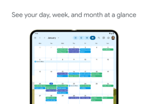 Google Calendar (Wear OS) 2025.34.1-802164507-release screenshot 13