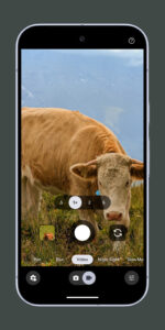 Pixel Camera 4.2.034.138147624 screenshot 7