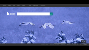 CastReceiver 1.6.11 screenshot 3
