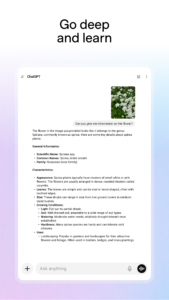 ChatGPT 1.2025.077 screenshot 14