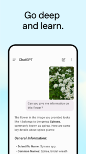 ChatGPT 1.2025.175 screenshot 4