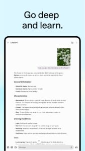 ChatGPT 1.2025.175 screenshot 10