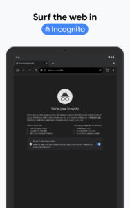 Chrome Canary (Unstable) 139.0.7255.0 screenshot 14