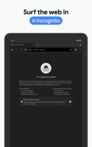 Chrome Canary (Unstable) 138.0.7201.0 screenshot 22