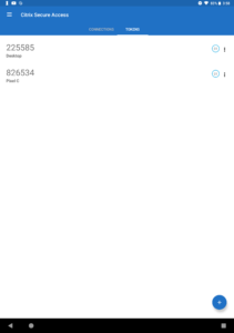 Citrix Secure Access 25.03.2 screenshot 14