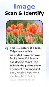 Deep Think - AI Seek Chatbot 1.9.2-25082666 screenshot 6