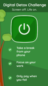 Digital Detox: Focus & Live 10.33 screenshot 8