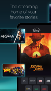 Disney+ (Android TV) 4.8.3-rc1-2025.06.10 screenshot 1