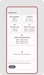 Display Info 2.2 screenshot 4