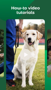 Dogo — Puppy and Dog Training 10.28.0 screenshot 6