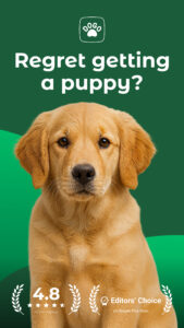 Dogo — Puppy and Dog Training 10.26.0 screenshot 1