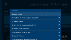 dream Player IPTV for TV 12.0.1 screenshot 5