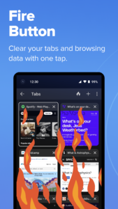 DuckDuckGo, Duck.ai, & VPN 5.239.1 screenshot 7