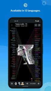 IMAIOS e-Anatomy 7.10.0 screenshot 7