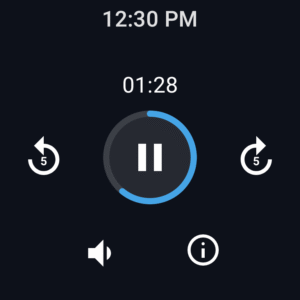 Easy Voice Recorder 2.9.3 screenshot 12