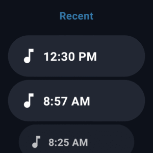 Easy Voice Recorder 2.9.3 screenshot 11