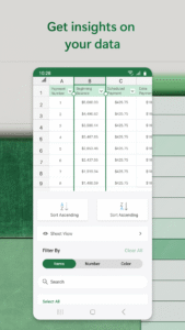 Microsoft Excel: Spreadsheets 16.0.18925.20028 screenshot 4