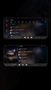 FiiO Music 3.2.8 screenshot 5