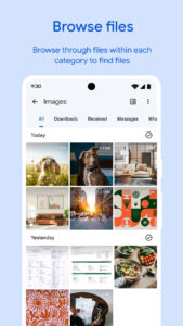 Files by Google 1.7684.770529222.1-release screenshot 2