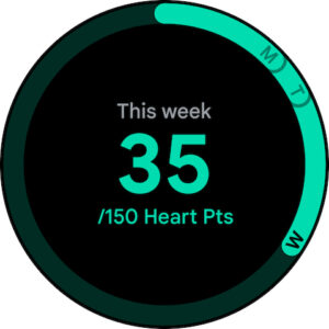 Google Fit: Activity Tracking (Wear OS) 2025.06.05.00.x86.release screenshot 9