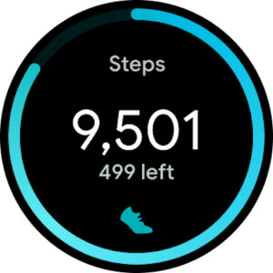 Google Health (Fitbit) (Wear OS) 4.43.fitbit-mobile-110296959-758859693 screenshot 8