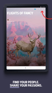 Flipboard:Your Social Magazine 4.3.39 screenshot 15
