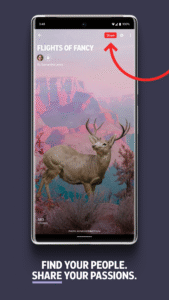 Flipboard:Your Social Magazine 4.3.39 screenshot 5