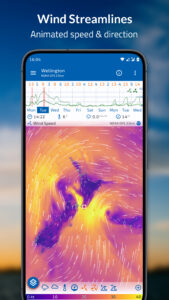 Flowx: Weather Map Forecast 4.088 screenshot 6