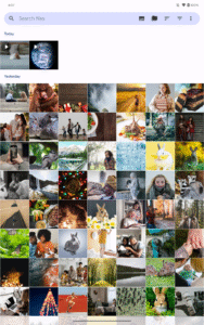 Fossify Gallery 1.3.1 screenshot 8