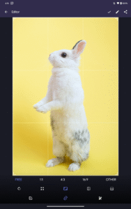 Fossify Gallery 1.3.1 screenshot 10