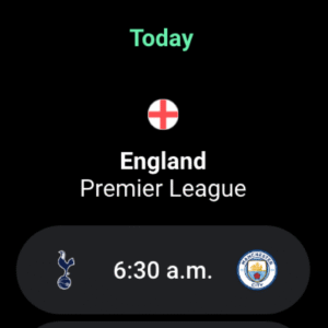FotMob - Soccer Live Scores (Wear OS) 11.1 screenshot 10
