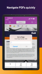 Foxit PDF Editor 2025.6.0.0610.0520 screenshot 13