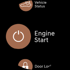 Genesis Intelligent Assistant (Wear OS) 3.2.4 screenshot 10