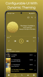GoneMAD Music Player screenshot 6
