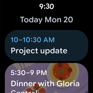 Google Calendar (Wear OS) 2025.04.1-723006194-release-wear screenshot 19