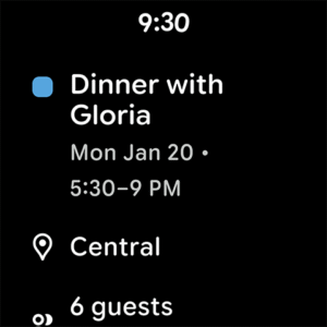 Google Calendar (Wear OS) 2025.04.1-723006194-release-wear screenshot 20