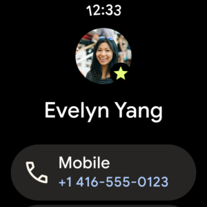 Google Contacts (Wear OS) 4.58.27.775291202 screenshot 12