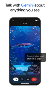 Google Gemini 1.0.795460806 screenshot 2