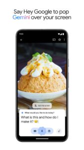 Google Gemini 1.0.772404132 screenshot 6
