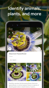 Google Lens 1.18.250731009 screenshot 4