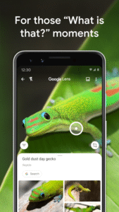 Google Lens 1.18.250731009 screenshot 8
