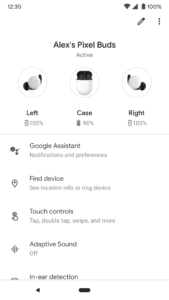 Google Pixel Buds 1.0.744953521 screenshot 1