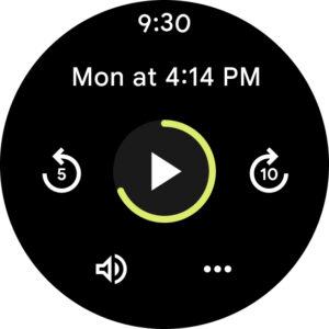 Google Recorder screenshot 11