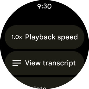 Google Recorder screenshot 12