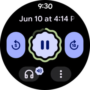 Google Recorder 4.2.20250311.752966393 screenshot 11