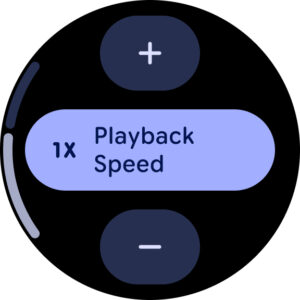 Google Recorder 4.2.20250311.752966393 screenshot 12