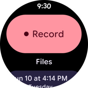 Google Recorder 4.2.20250311.752966393 screenshot 9