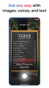 Google App 16.10.35.ve.arm screenshot 4