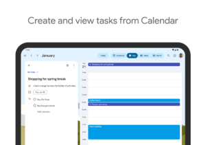 Google Tasks 2025.03.17.738722299.1-release screenshot 9