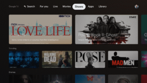 Google TV Home (Android TV) 1.0.767786292 screenshot 3